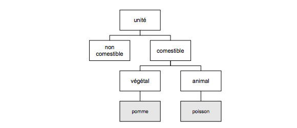 Un classement simple représenté en schéma