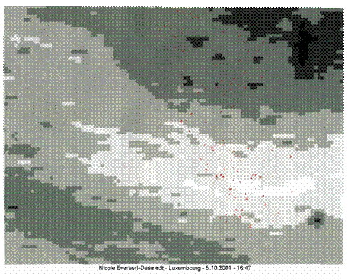 Dessin  du parcours de Nicole Everaert-Desmedt